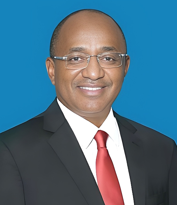 H.E. Dr. Hussein Ali Mwinyi